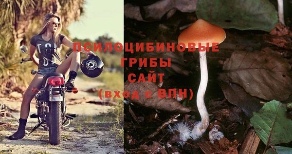 спиды Белоозёрский