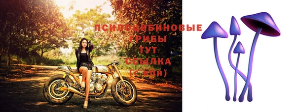 спиды Белоозёрский